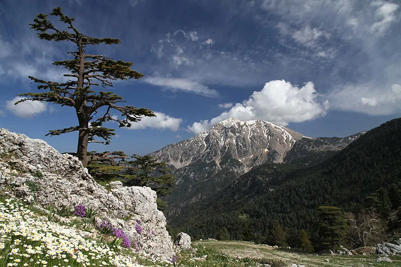 Tahtali Berg Titelbild