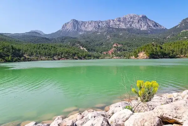 Doyran Göleti Kapak Fotoğrafı,Antalya, Doyran Göleti, gölet, doğa, kuş gözlemi, piknik, yürüyüş, kamp alanı