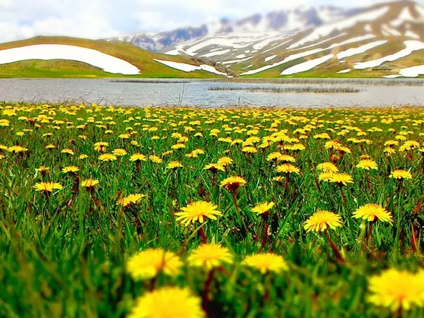 Eğri Göl (Eğil Göl) Kapak Fotoğrafı,Antalya, Eğrigöl, Geyik Dağı, Taşeli Platosu, doğa, fotoğrafçılık, göl, balıkçılık, doğal yaşam, aktiviteler, trekking, kampçılık, tırmanma, kayak, dağ bisikleti