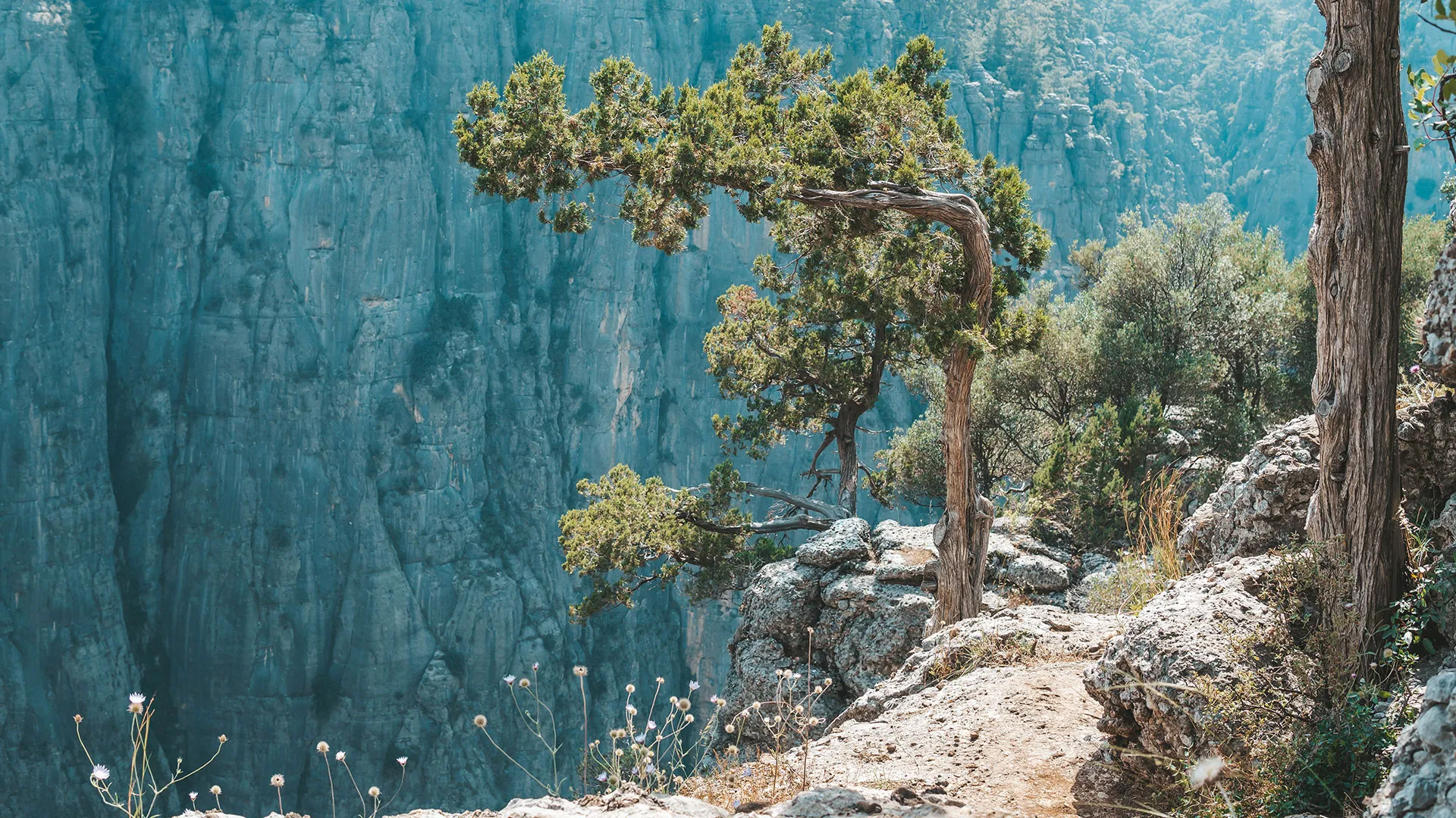 Tazı Kanyonu Kapak Fotoğrafı