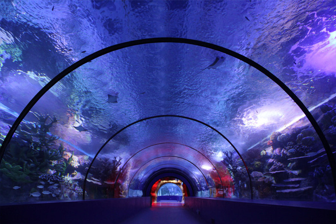 Antalya Aquarium,Antalya Aquarium, Tunnel-Aquarium, Meeresbewohner, Thematische Becken, Snow World & Ice Museum, WildPark, Oceanride XD Cinema, Tourismus in Antalya, Unterwasserwelt, Unterhaltungsbereiche