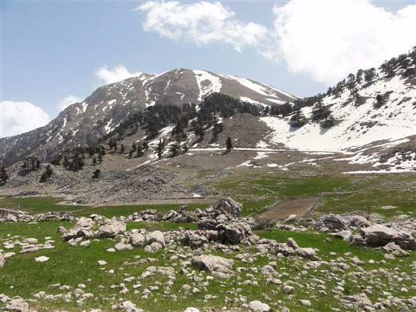 Beycik-Plateau