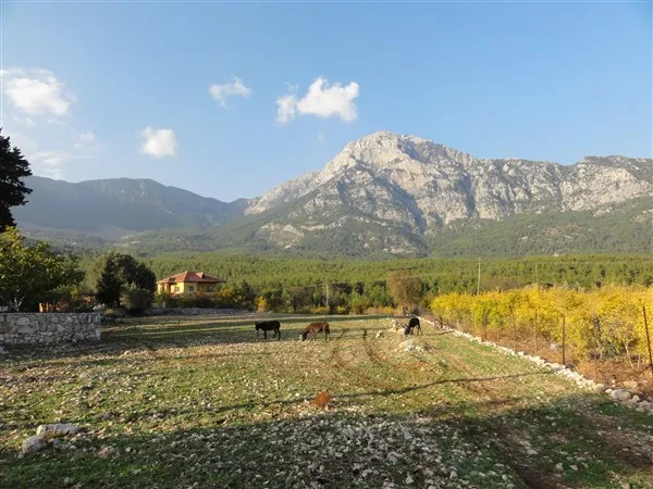 Beycik Plateau Cover Photo,Antalya, Beycik Plateau, Mountains, Highlands, Hiking, Camping, Vacation, Plateau tourism