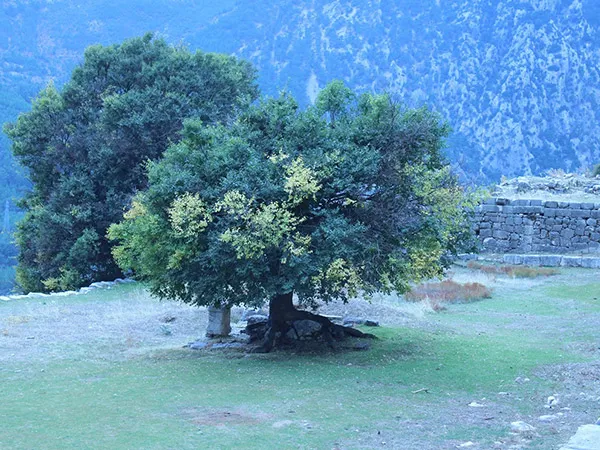 Arykanda Antik Kenti Kapak Fotoğrafı