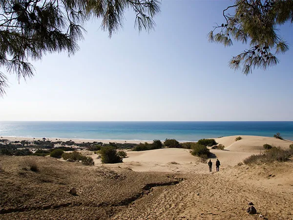 Patara Strand Titelbild