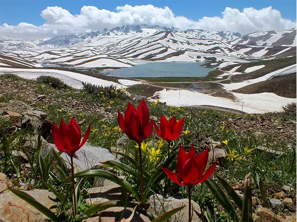 Geyik Dağları Kapak Fotoğrafı,Geyik, Dağları, adresi, nerede, yol, tarifi, giriş, ücreti, çalışma, ziyaret, saatleri