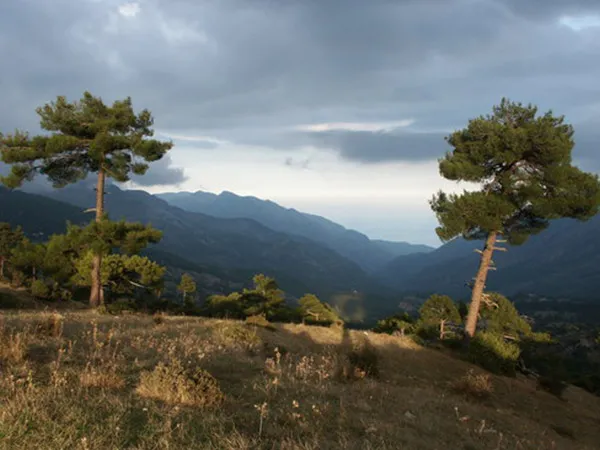 Üçoluk Yaylası Kapak Fotoğrafı,Üçoluk, Yaylası, Kemer, adresi, nerede, yol, tarifi, giriş, ücreti, çalışma, ziyaret, saatleri