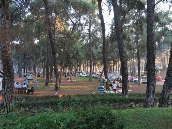 Düzlerçamı Picknickplatz Titelbild